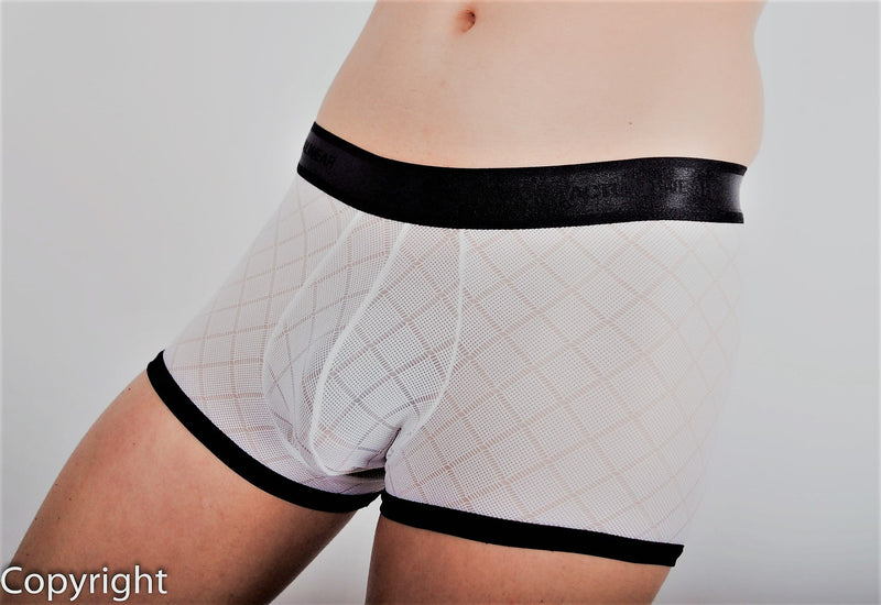 GH 3G Active Mens Active sheer Boxer Brief 6105 1 - SexyMenUnderwear.com