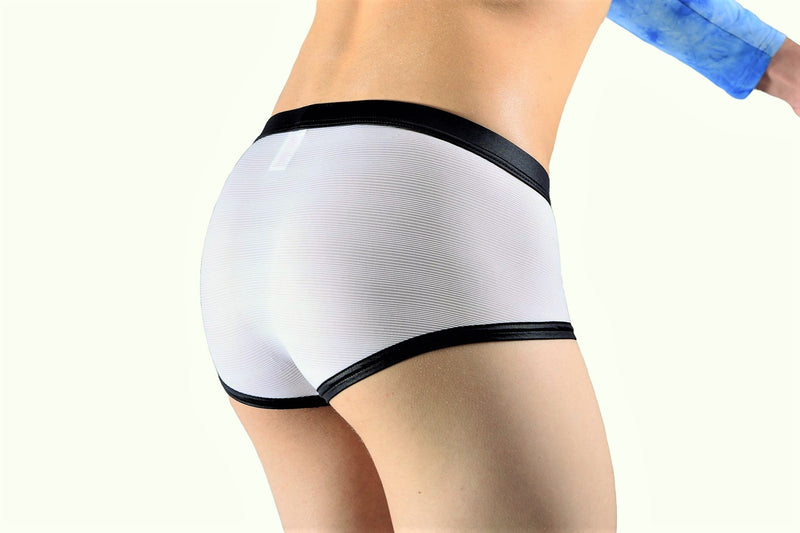 Gregg Homme Boxer Briefs Gentlemen Semi-Sheer 140005 4 - SexyMenUnderwear.com