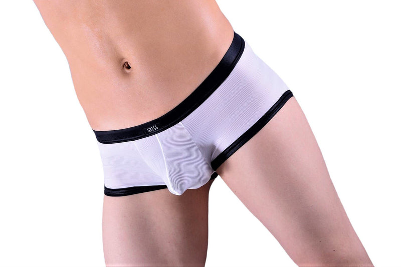 Gregg Homme Boxer Briefs Gentlemen Semi-Sheer 140005 4 - SexyMenUnderwear.com