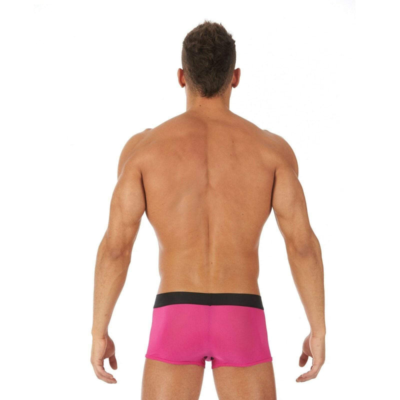Gregg Homme Boxer Torridz HyperStretch Pink 87465 14 - SexyMenUnderwear.com
