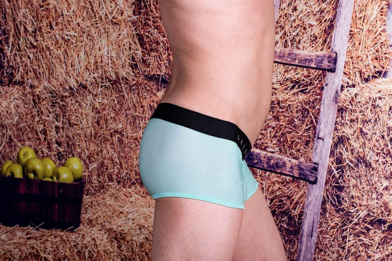 Gregg Homme Boxer Torridz HyperStretch Sheer Underwear MINT 87465 14 - SexyMenUnderwear.com