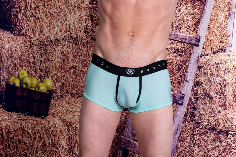 Gregg Homme Boxer Torridz HyperStretch Sheer Underwear MINT 87465 14 - SexyMenUnderwear.com