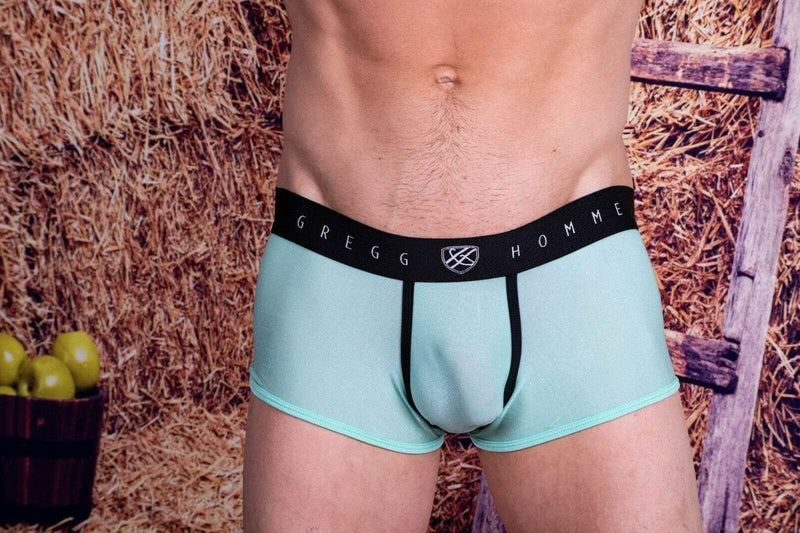 Gregg Homme Boxer Torridz HyperStretch Sheer Underwear MINT 87465 14 - SexyMenUnderwear.com