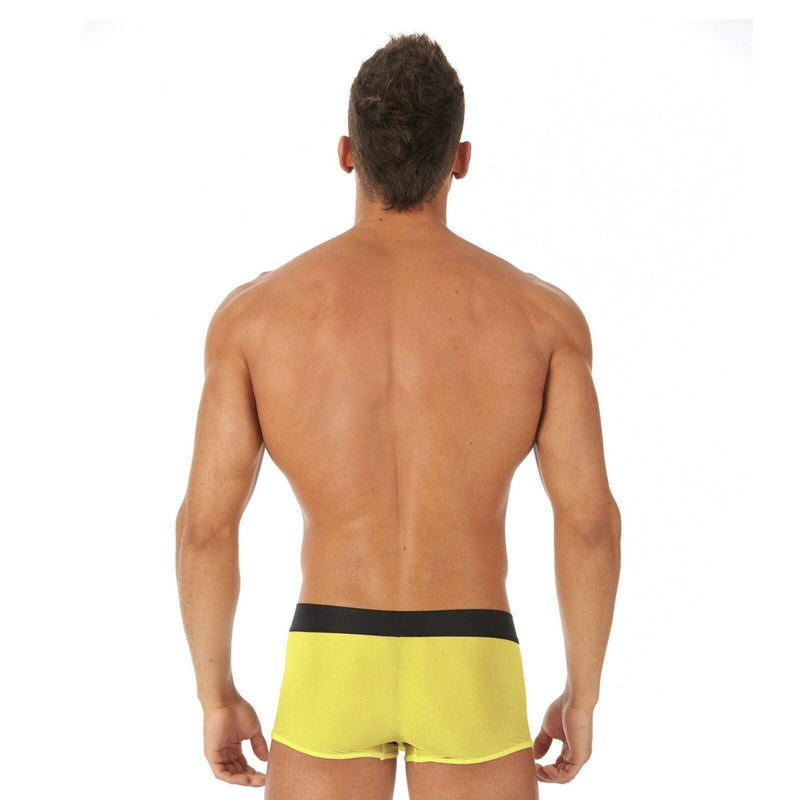 Gregg Homme Boxer Torridz Outrageous Underwear Sheer Yellow 87465 15D - SexyMenUnderwear.com