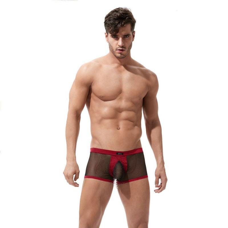 Gregg Homme Boxer X-Rated Maximizer Red 85005 100 - SexyMenUnderwear.com