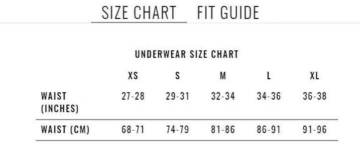 GREGG HOMME C-Ring Sheer Micro Briefs Wild Life Print R1022 2a - SexyMenUnderwear.com