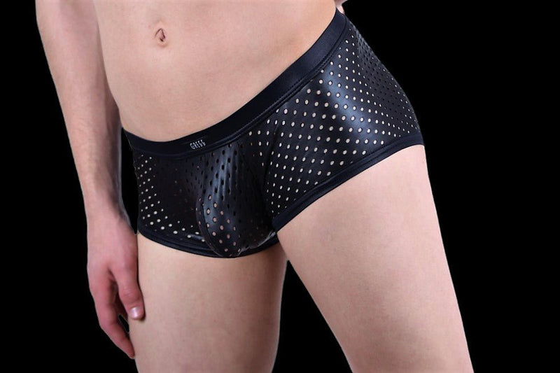 Gregg Homme IMPULSE 2.0 Boxer briefs Leather look 1019 8 - SexyMenUnderwear.com