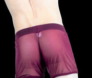 Gregg Homme Special edition Hardcore See-Through Mesh Boxer MX1 - SexyMenUnderwear.com