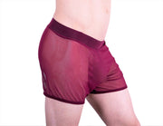 Gregg Homme Special edition Hardcore See-Through Mesh Boxer MX1 - SexyMenUnderwear.com