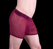 Gregg Homme Special edition Hardcore See-Through Mesh Boxer MX1 - SexyMenUnderwear.com