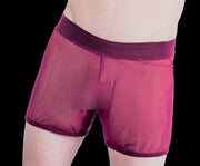 Gregg Homme Special edition Hardcore See-Through Mesh Boxer MX1 - SexyMenUnderwear.com