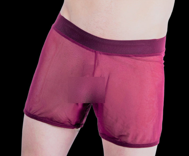 Gregg Homme Special edition Hardcore See-Through Mesh Boxer MX1 - SexyMenUnderwear.com