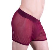 Gregg Homme Special edition Hardcore See-Through Mesh Boxer MX1 - SexyMenUnderwear.com