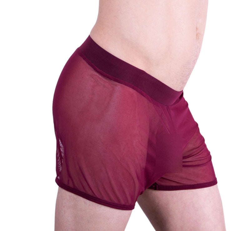 Gregg Homme Special edition Hardcore See-Through Mesh Boxer MX1 - SexyMenUnderwear.com