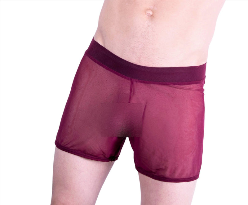 Gregg Homme Special edition Hardcore See-Through Mesh Boxer MX1 - SexyMenUnderwear.com