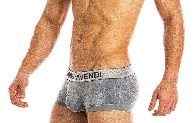 Medium Boxer Brief Modus Vivendi X-Lux Velvet Micro modal Luxury Grey 19821 47 - SexyMenUnderwear.com