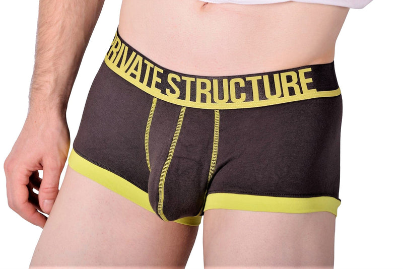 MEDIUM Luminous Trunk Private Structure Boxer 3-15 - SexyMenUnderwear.com