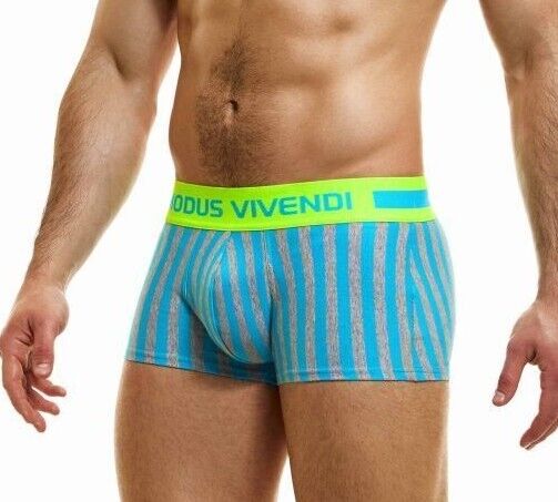 Modus Vivendi Boxer Exclusive Ecofriendly Cotton Boxer Classic Striped 24223 40 - SexyMenUnderwear.com
