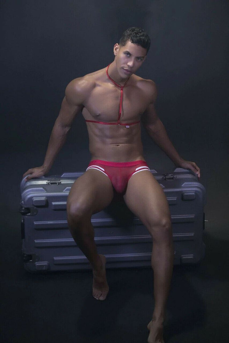 PIKANTE Harness Briefs Low-Rise Stretch Sensual See-Through Brief Red 0495 2 - SexyMenUnderwear.com