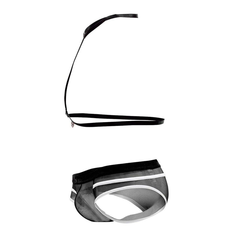 PIKANTE Harness HOT Briefs Low-Rise Stretch See-Through Brief Black 0495 3 - SexyMenUnderwear.com