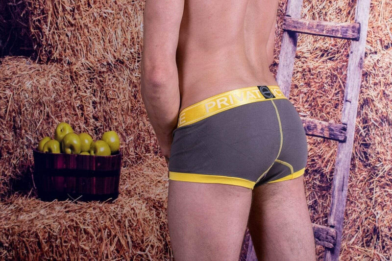 Private Structure Boxer Brief Soho Luminous Trunk Sunny Grey 3680 15 - SexyMenUnderwear.com