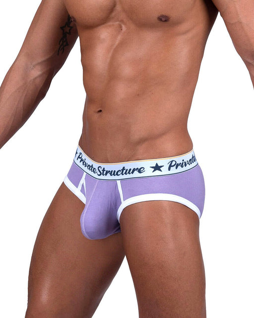 PRIVATE STRUCTURE Briefs Classic Mid - Waist Mini Brief in Viola Purple 45292