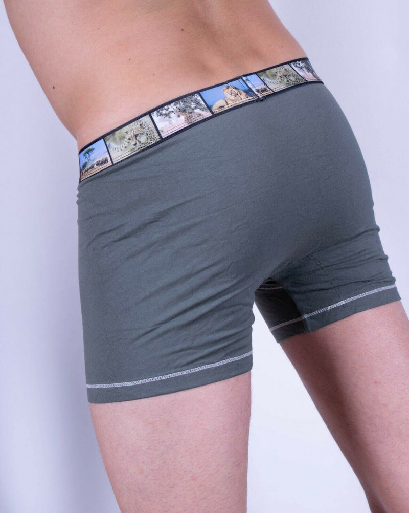 PUNTO BLANCO Organic Cotton Save The Land Desert Boxer Khaki 3390 31