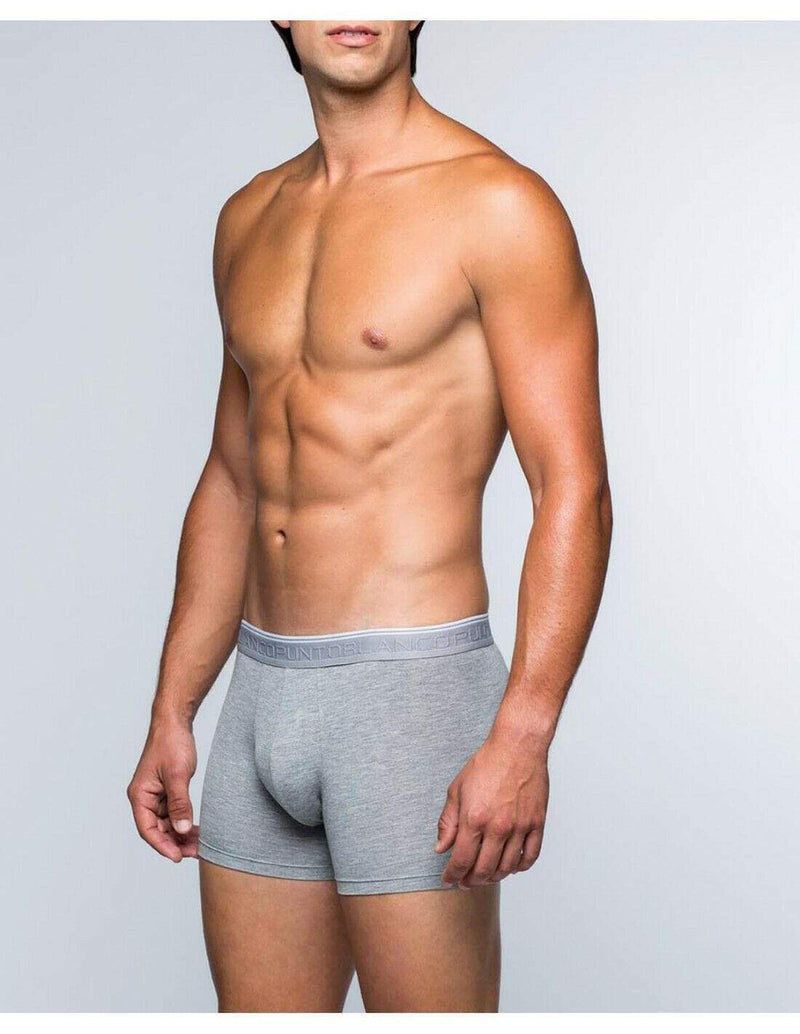 Punto Blanco XL Punto Blanco Pack Of 2 Boxer Bamboo Antibacterial 2 Boxers Grey 3307-40-654