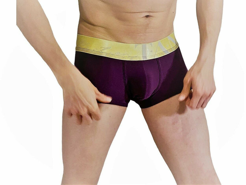SexyMenUnderwear.com Collection TANN Boxer-Trunks Metallic Gold Elastic Waistband Plum 2