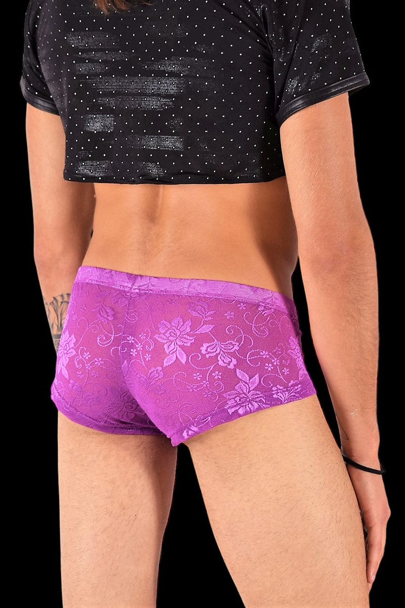 SMU Aristocrat Lace Sheer Mini boxer Purple 100705