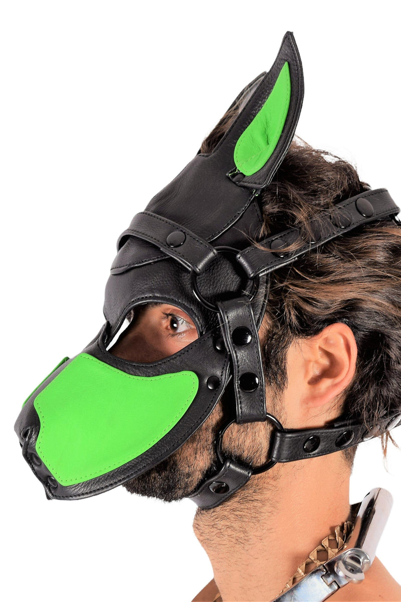 SMU Leather Mascarade halloween Mask Green 20