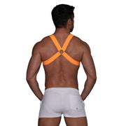 TOF PARIS H-Shaped Elastic Harness With Back-Zamac Buckle Neon Orange