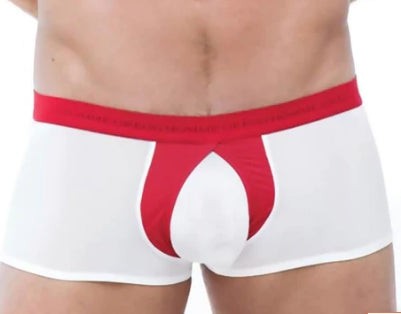 XS Gregg Homme  PUMP-UP Boxer BRIEF WHITE 87305 79